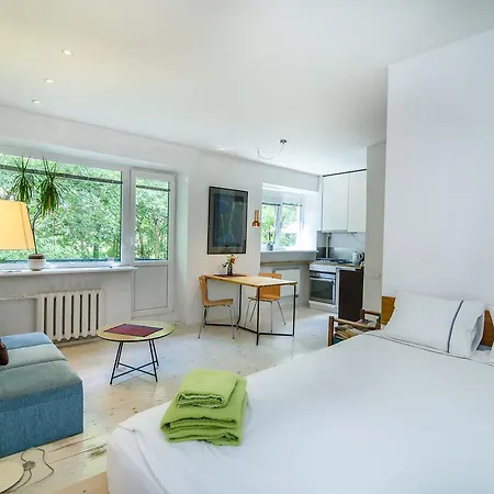 Studio On Vanagelio St 7
