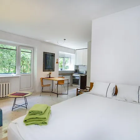 Studio On Vanagelio St 7